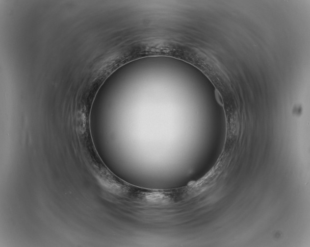 X0000096390183200801241311