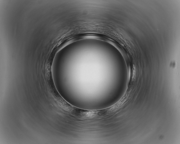 X0000096390184200801241311