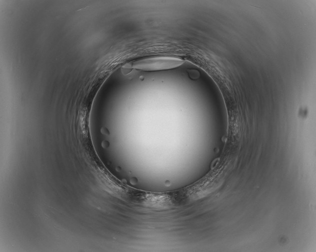 X0000096390185200801241311
