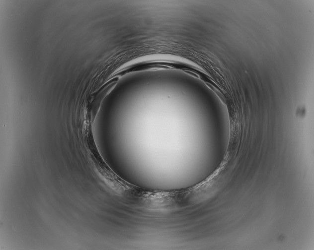 X0000096390186200801241311
