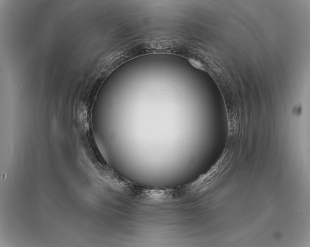 X0000096390187200801241311