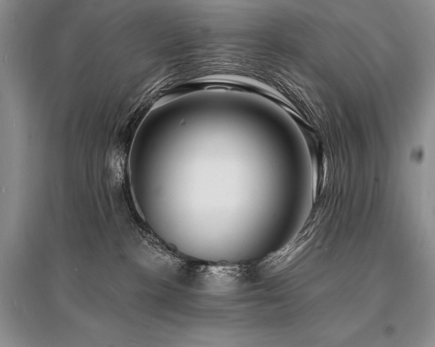 X0000096390188200801241311