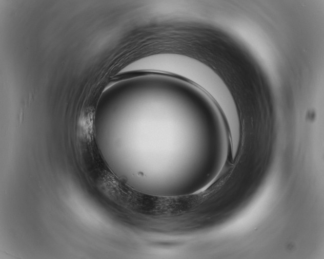 X0000096390190200801241311