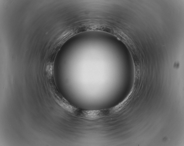 X0000096390191200801241311