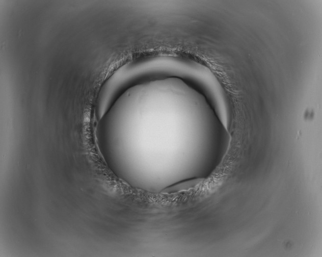 X0000096390192200801241311