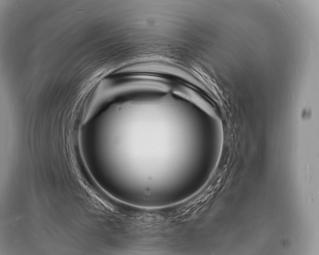 X0000096390193200801241310