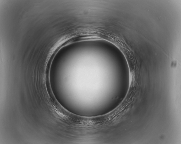 X0000096390195200801241310