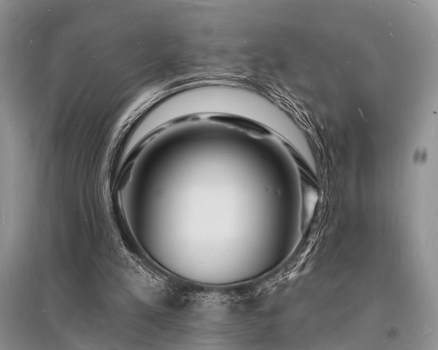 X0000096390197200801241310