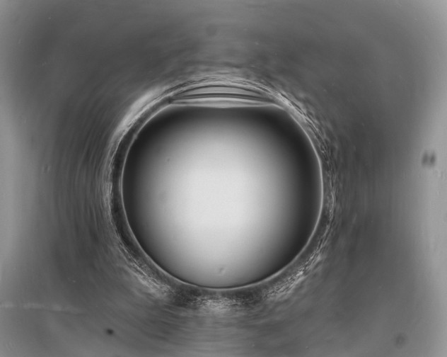 X0000096390199200801241310
