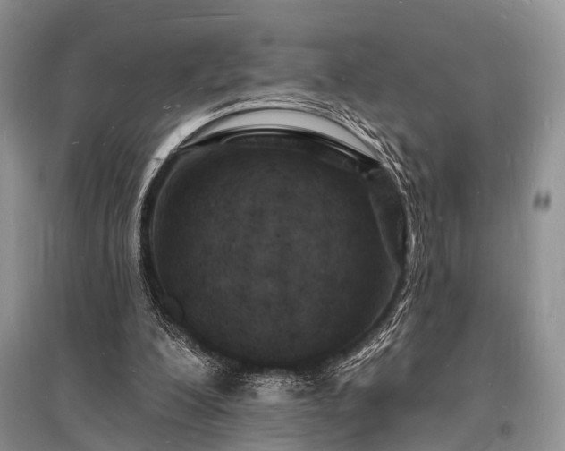X0000096390200200801241310