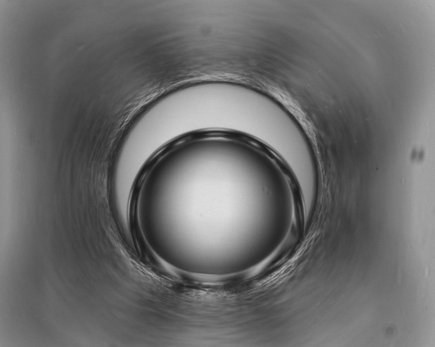 X0000096390201200801241310