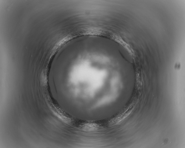 X0000096390203200801241310