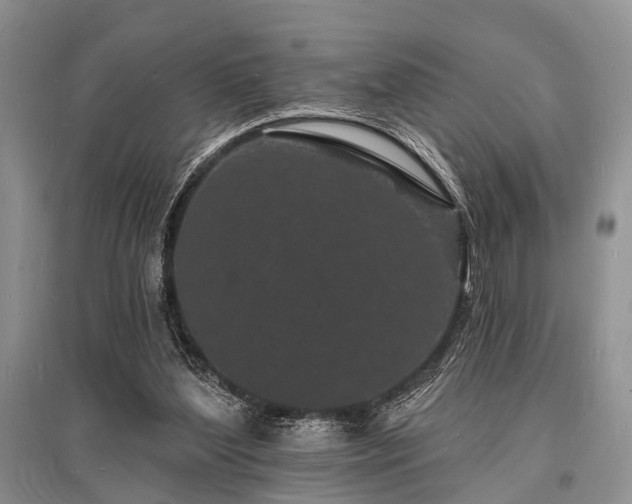 X0000096390204200801241310