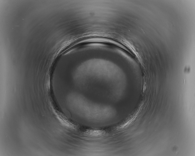 X0000096390205200801241310