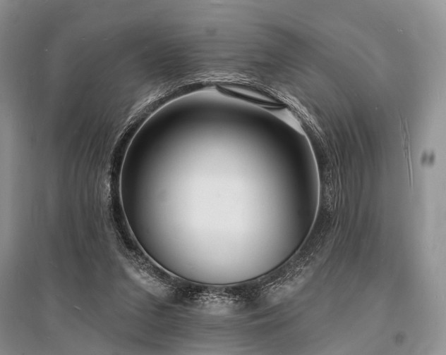 X0000096390207200801241310