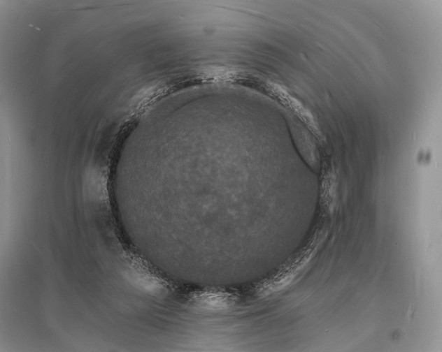 X0000096390209200801241310