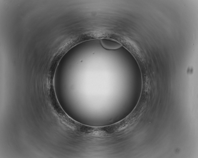 X0000096390210200801241310