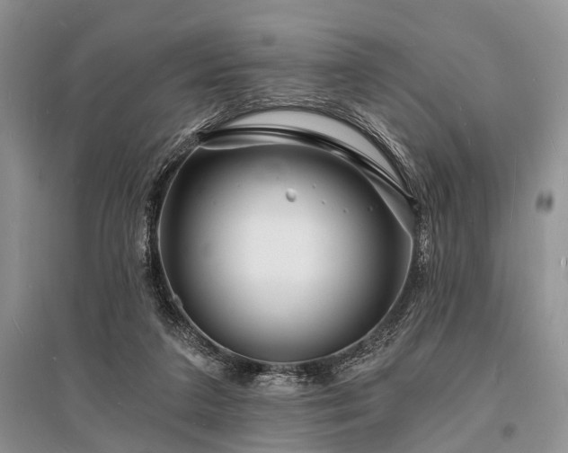 X0000096390211200801241310