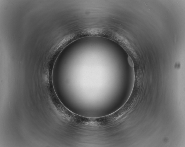 X0000096390212200801241310