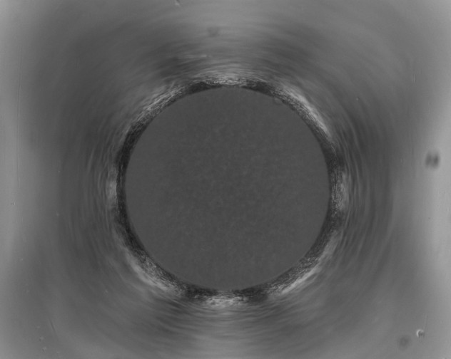 X0000096390213200801241310