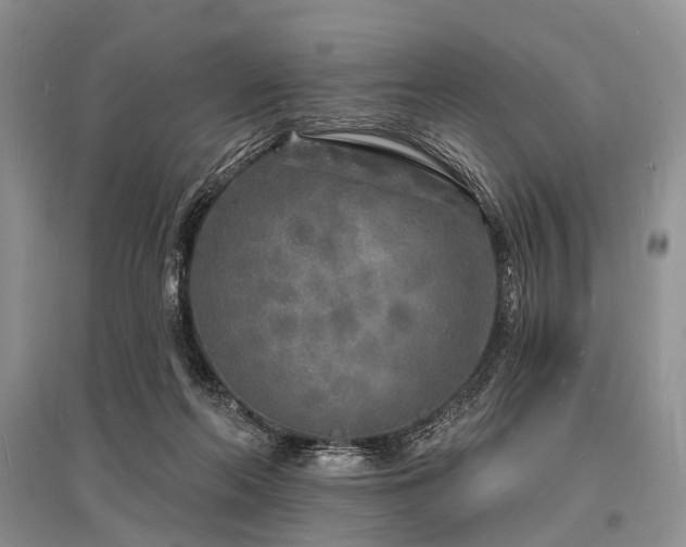X0000096390214200801241310