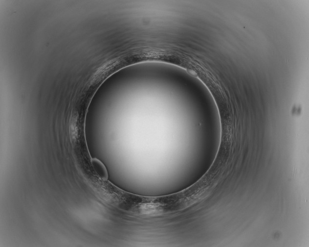 X0000096390216200801241310