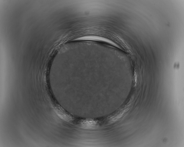 X0000096390217200801241310