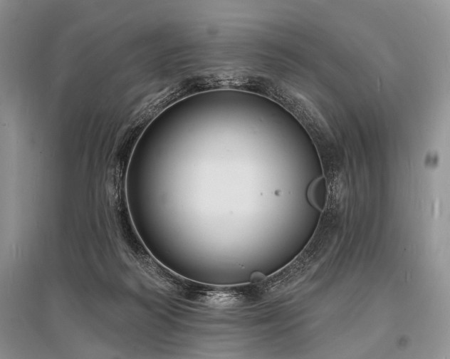 X0000096390218200801241310