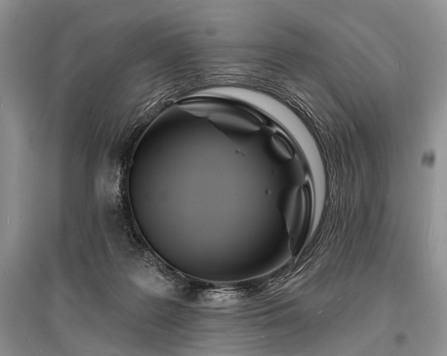 X0000096390219200801241310