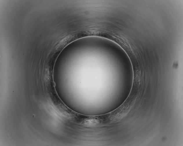 X0000096390220200801241310
