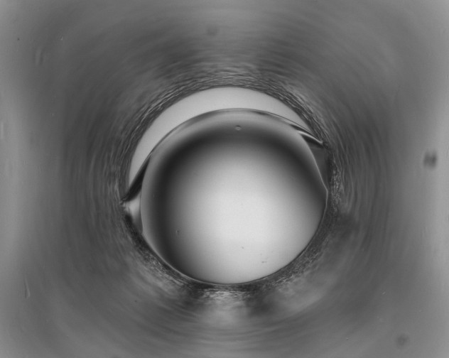 X0000096390221200801241310