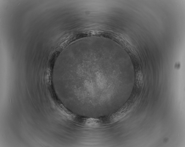 X0000096390222200801241310