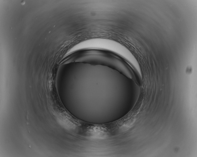 X0000096390223200801241310