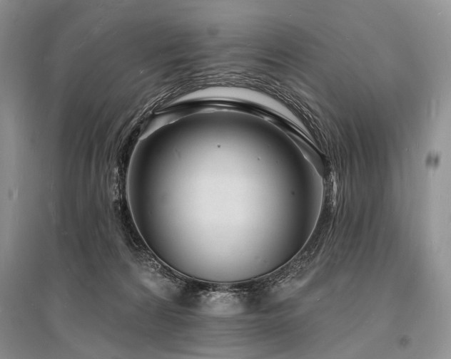 X0000096390224200801241310