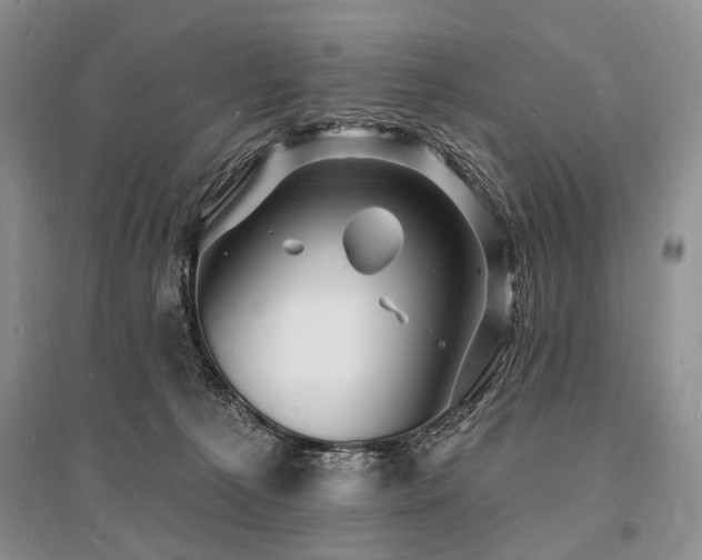 X0000096390225200801241310