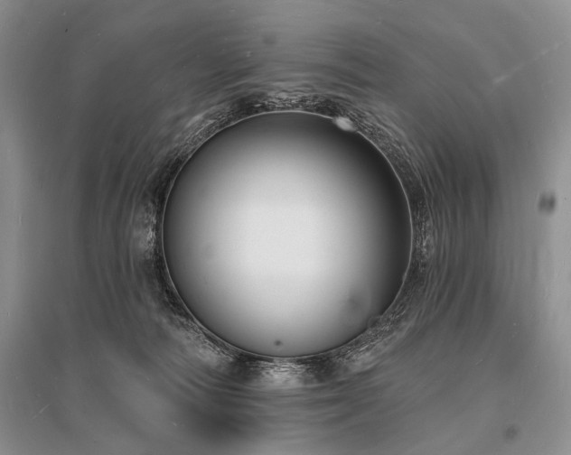 X0000096390226200801241310