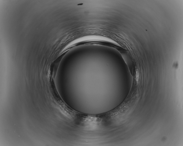 X0000096390227200801241310