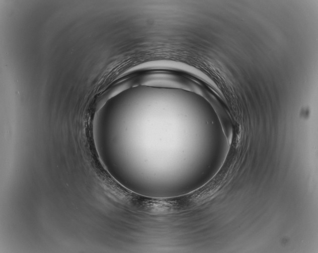 X0000096390229200801241310