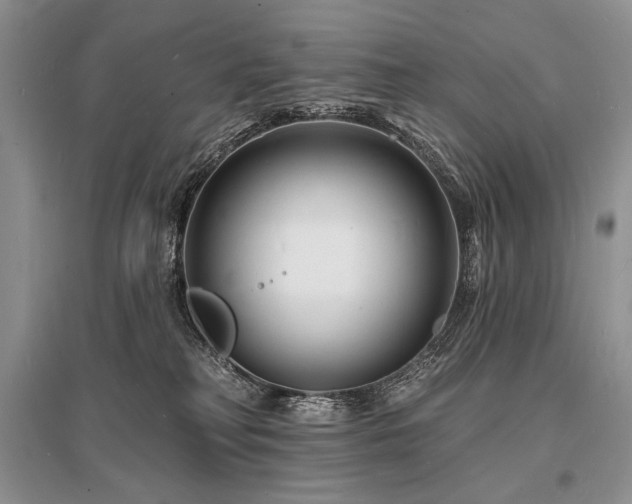 X0000096390230200801241310