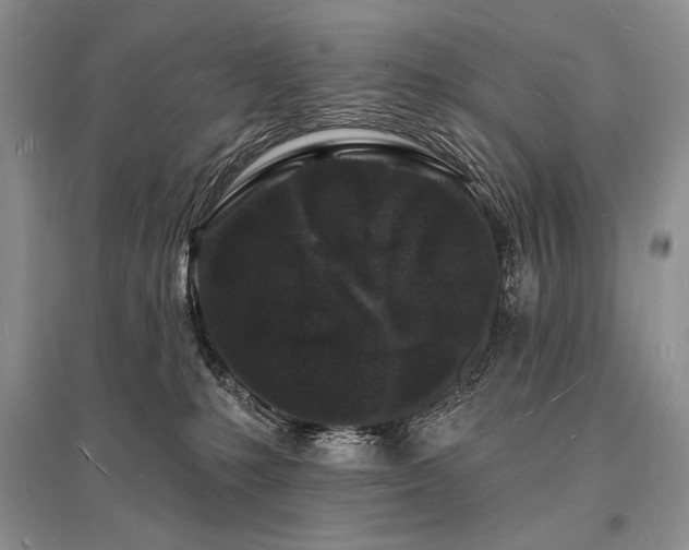 X0000096390231200801241310
