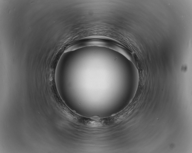 X0000096390232200801241310