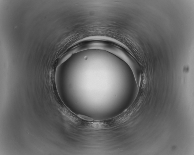 X0000096390233200801241310