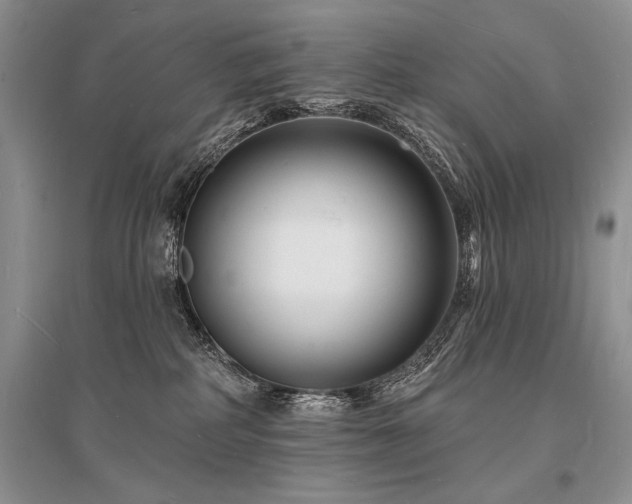 X0000096390234200801241310