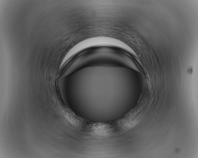 X0000096390235200801241310