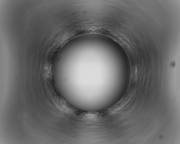 X0000096390236200801241310