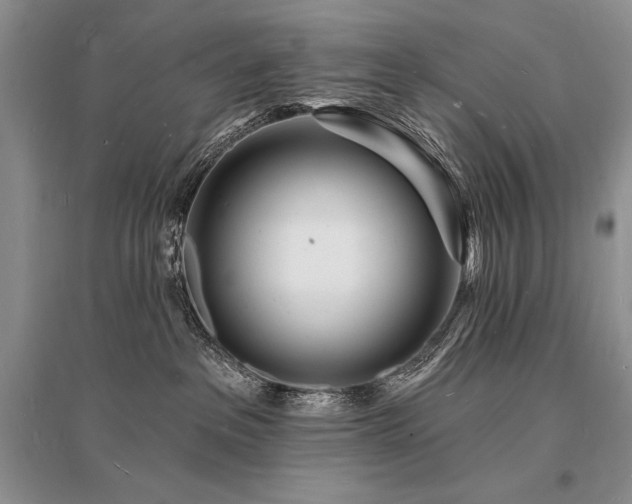 X0000096390237200801241310