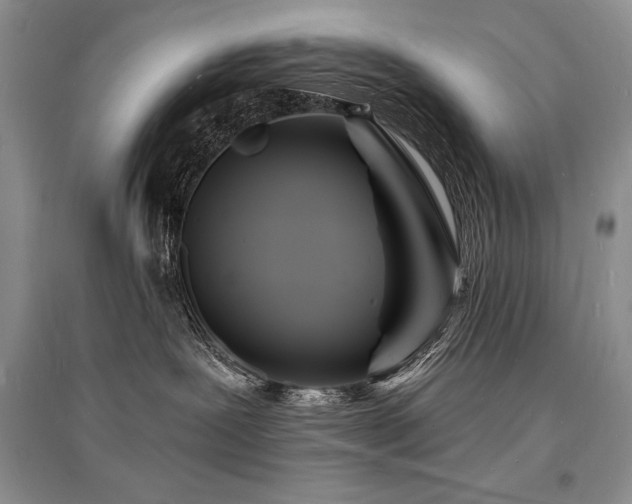 X0000096390239200801241310