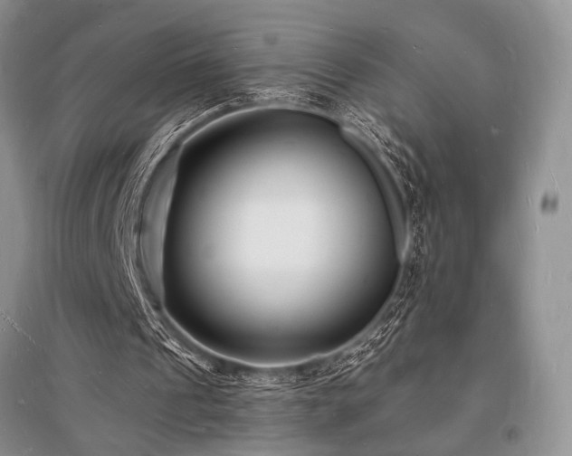X0000096390241200801241309