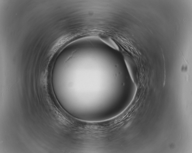 X0000096390242200801241309