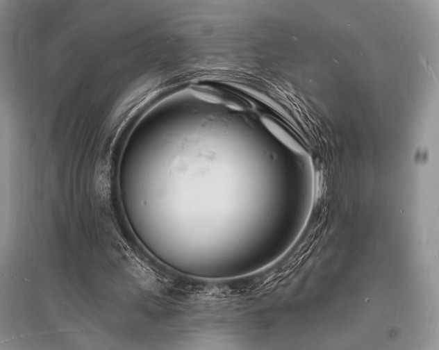 X0000096390243200801241309